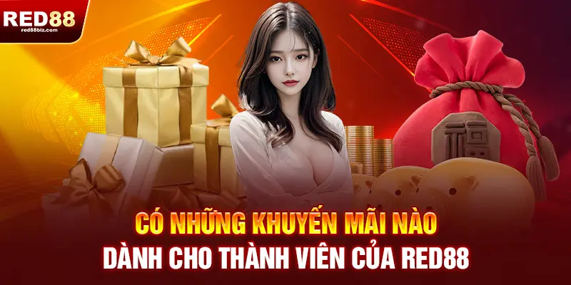 Red88 | Nhà Cái Cá Cược Thể Thao, Casino Uy Tín Hàng Đầu Việt Nam| 23 Có những khuyến mãi nào dành cho thành viên RED88