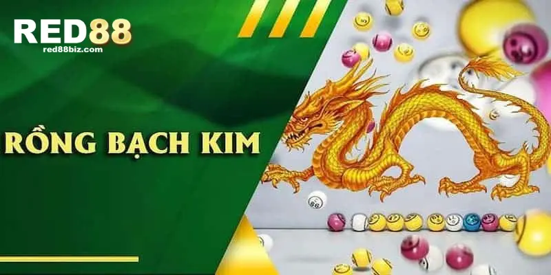 rong-bach-kim