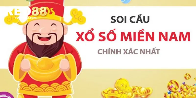 soi-cau-mn